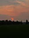 astarwbry_ Altpins Profile Picture