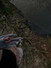 astarwbry_ Altpins Profile Picture