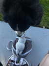 astarwbry_ Altpins Profile Picture