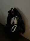 astarwbry_ Altpins Profile Picture