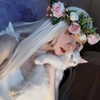 astasiangel Altpins Profile Picture