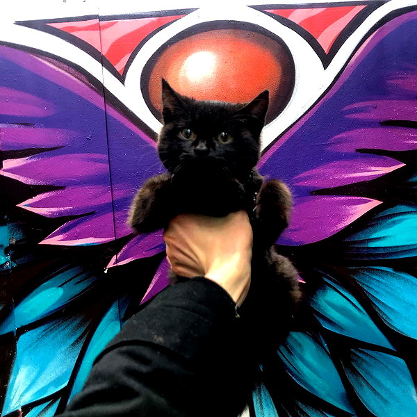 astasiangel instagram image archive image