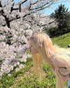 astasiangel Altpins Profile Picture