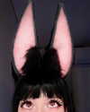 astasiangel Altpins Profile Picture