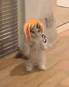 astasiangel Altpins Profile Picture