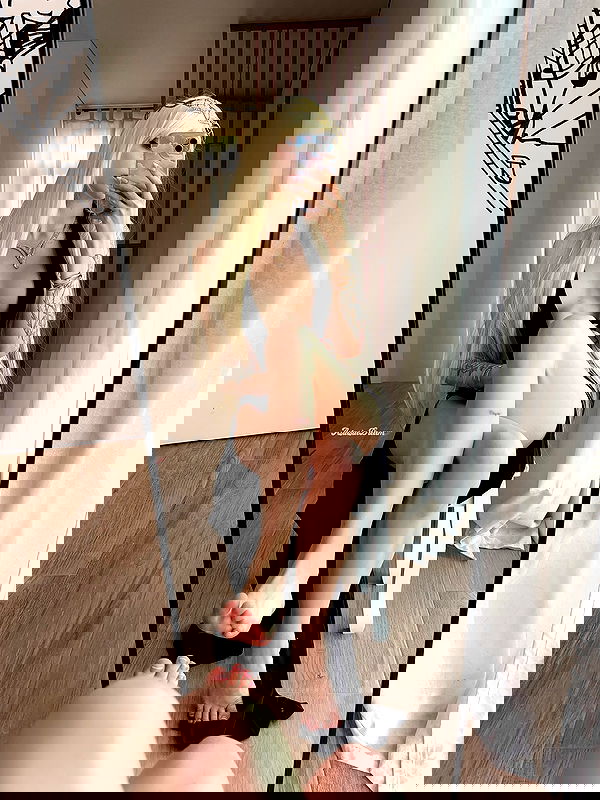 astasiatyan image ~ Altpins