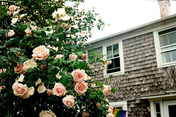 audreyxreid audreyxreid archive image