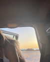 avagaspar_ Altpins Profile Picture