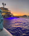 avagaspar_ Altpins Profile Picture