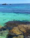 avagaspar_ Altpins Profile Picture