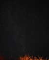 avagaspar_ Altpins Profile Picture