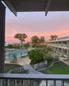 avagaspar_ Altpins Profile Picture