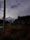 avigailsen Altpins Profile Picture