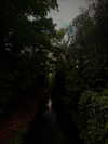 avigailsen Altpins Profile Picture