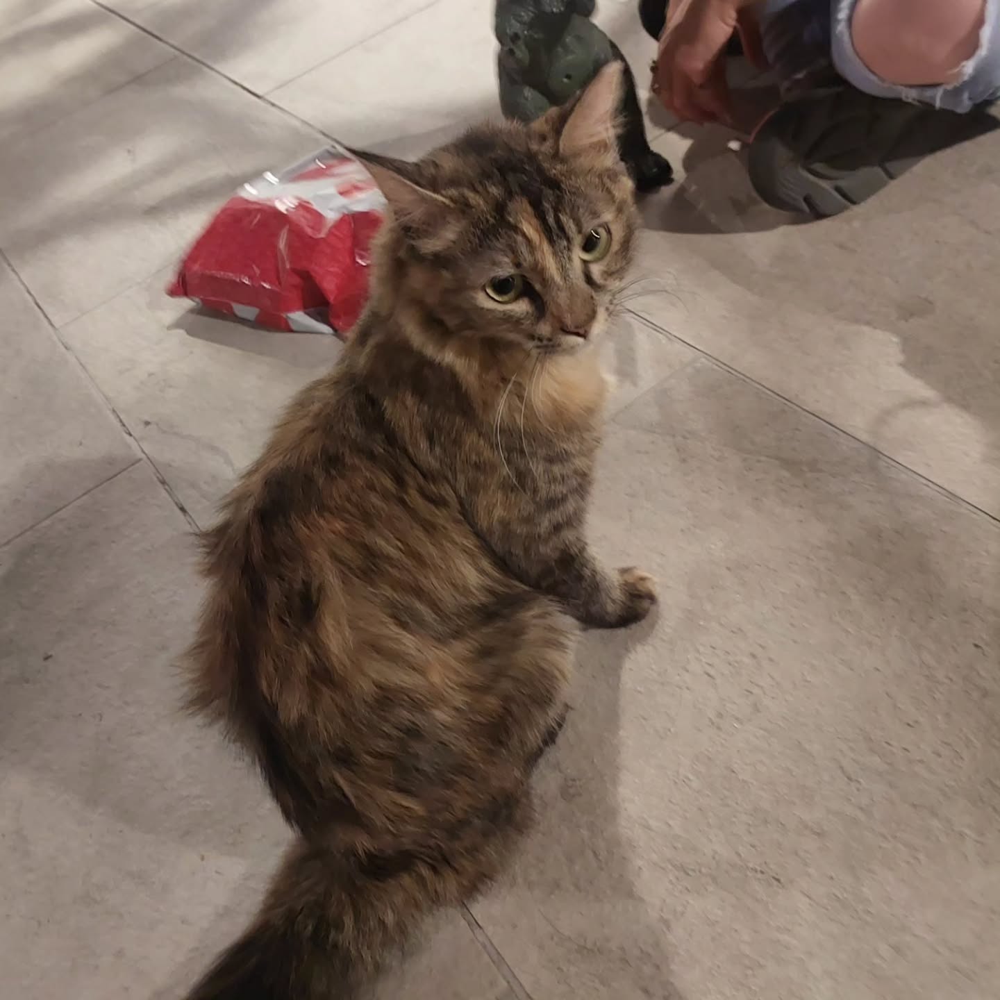 avital_1010.2003 instagram image archive image