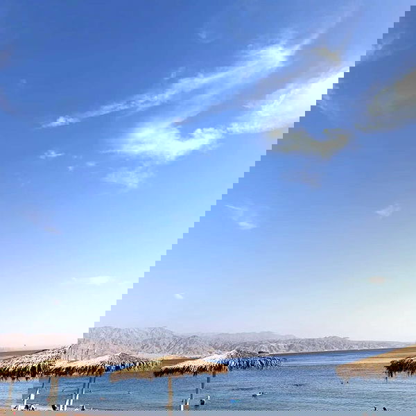 avital_1010.2003 image ~ Altpins