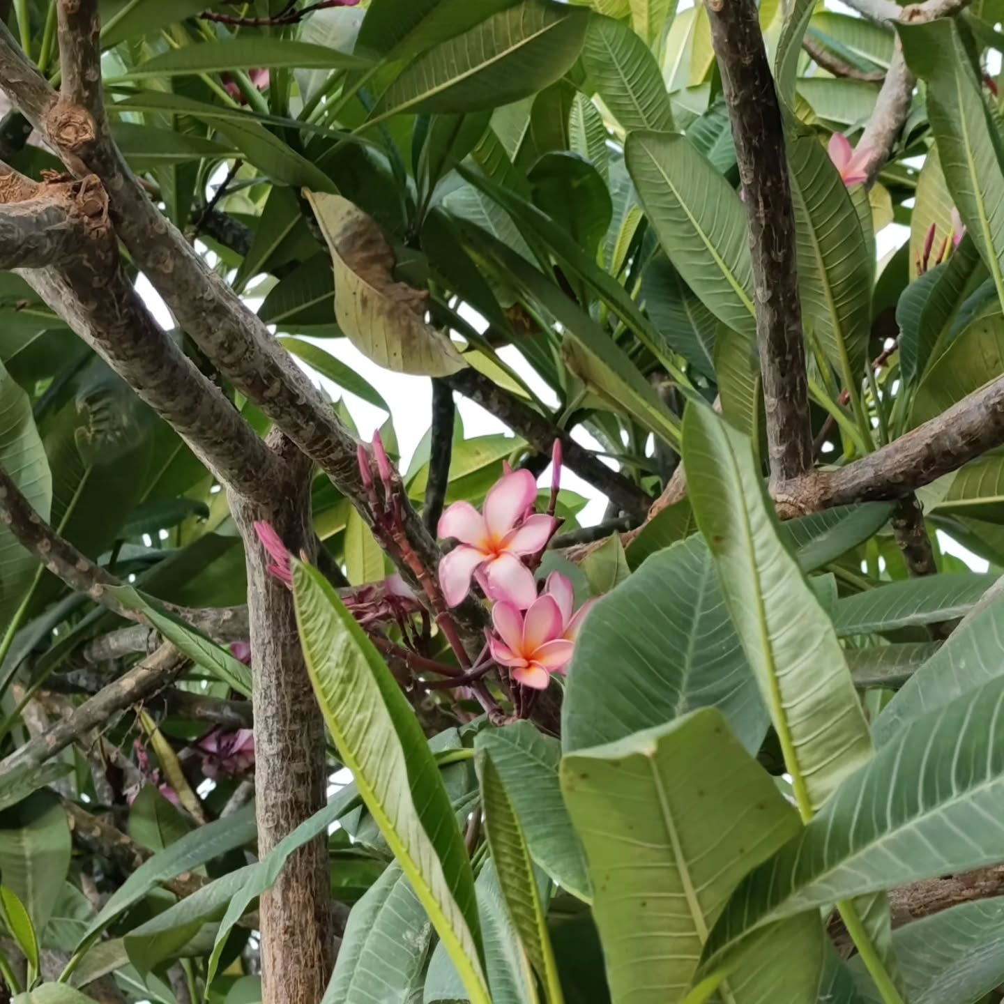 avital_1010.2003 instagram image archive image