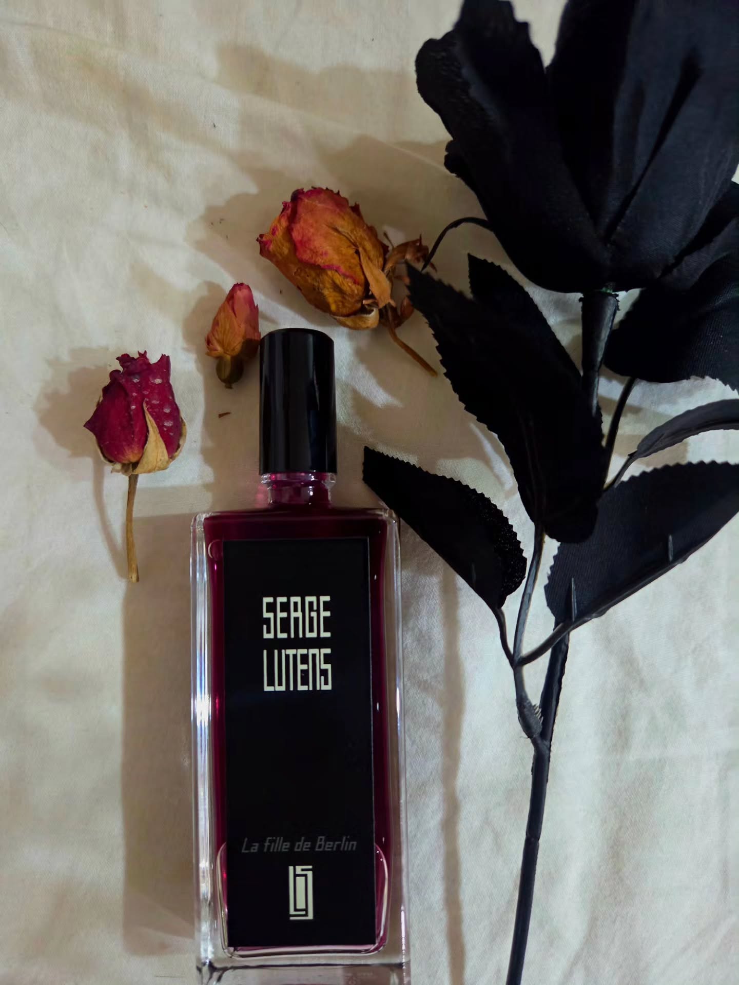 avital_1010.2003 instagram image archive image