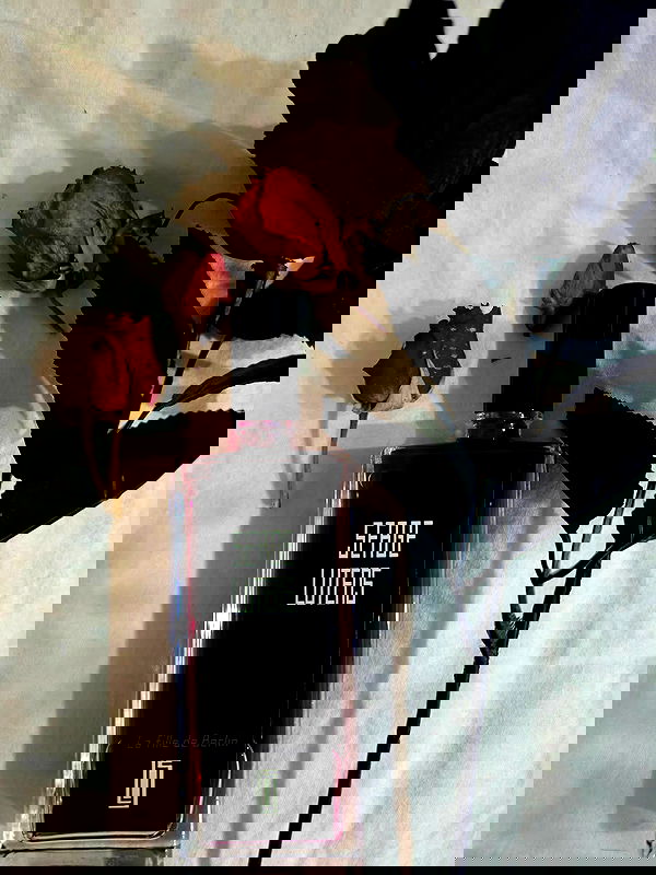 avital_1010.2003 image ~ Altpins