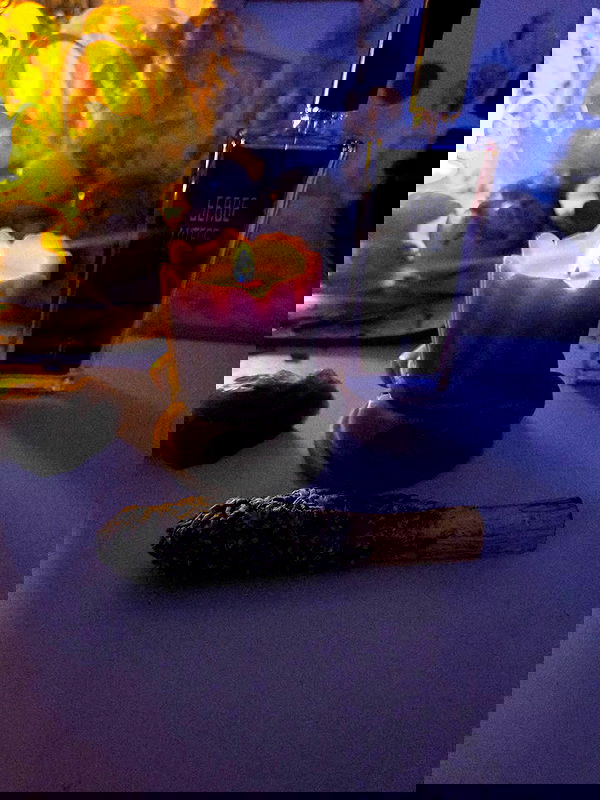 avital_1010.2003 image ~ Altpins