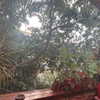 avitalll._ Altpins Profile Picture