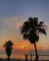 ayala.assaraf Altpins Profile Picture