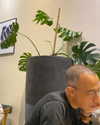 ayala.assaraf Altpins Profile Picture