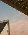 ayala.assaraf Altpins Profile Picture