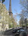 ayala.assaraf Altpins Profile Picture