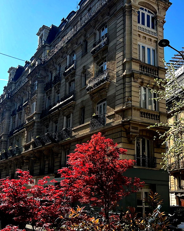 ayala.assaraf instagram image archive image