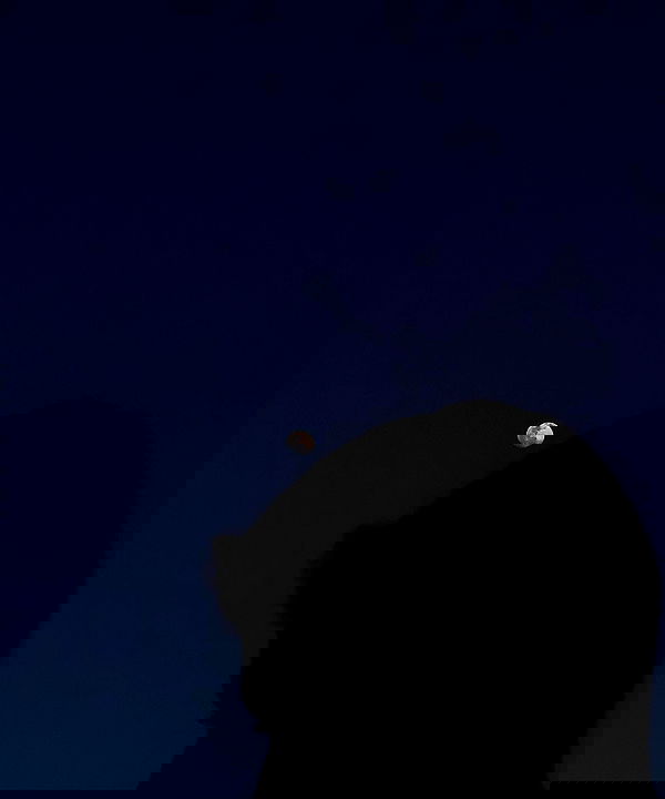 babynympho_archive babynympho_archive archive image