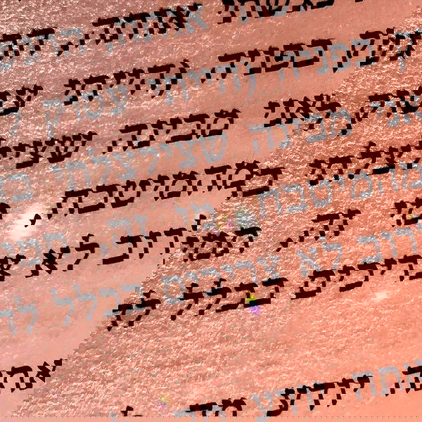 babynympho_archive babynympho_archive archive image