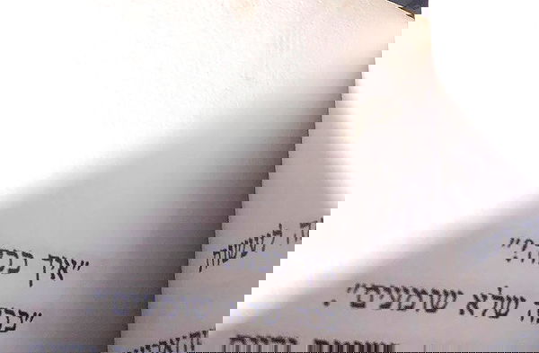 babynympho_archive babynympho_archive archive image