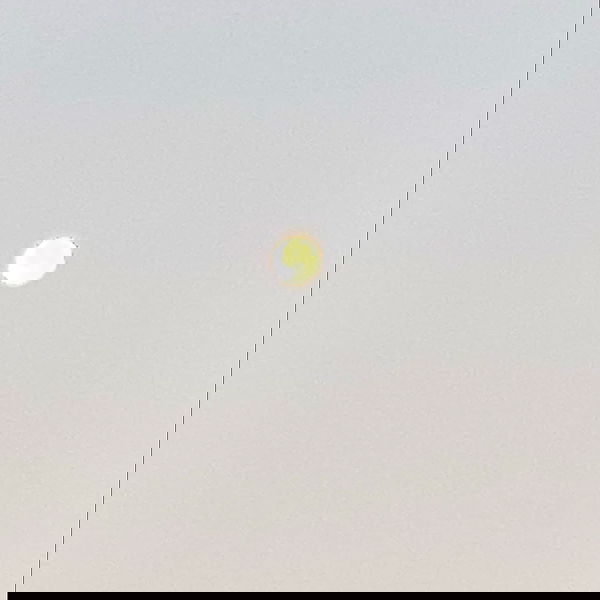 babynympho_archive babynympho_archive archive image