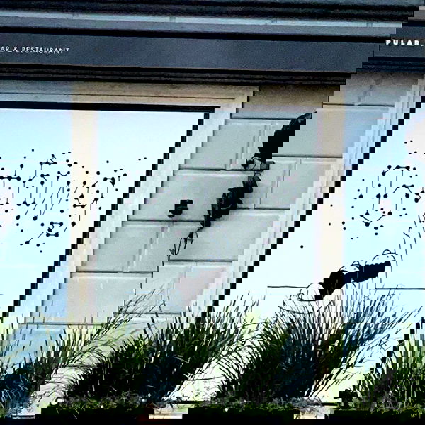 babynympho_archive babynympho_archive archive image