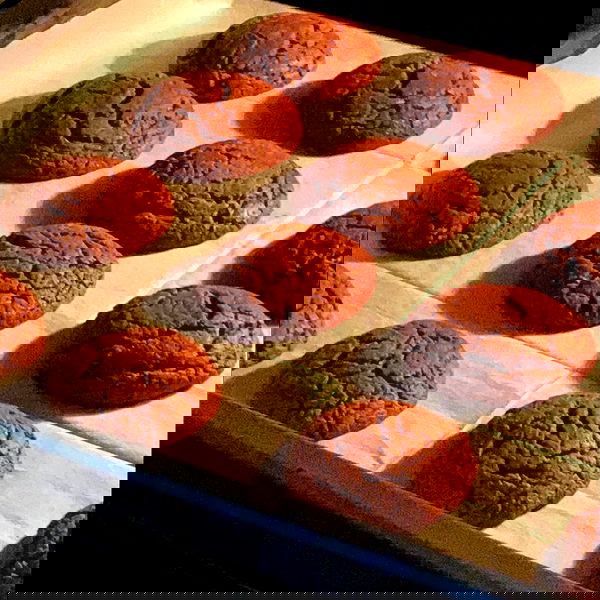 babynympho_archive babynympho_archive archive image