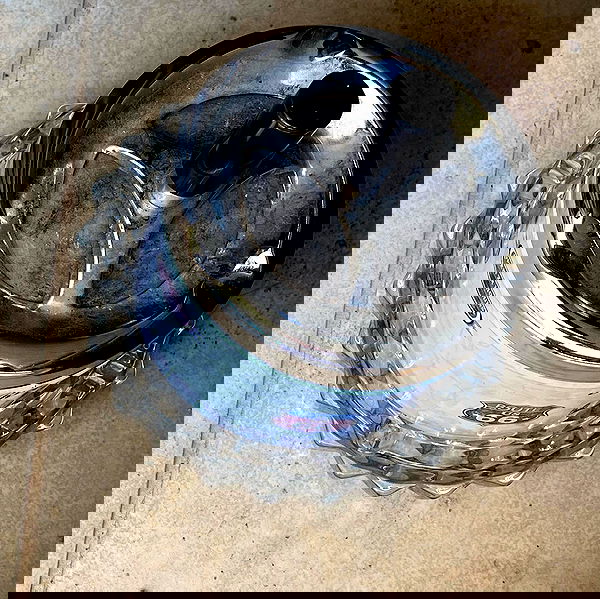 babynympho_archive babynympho_archive archive image