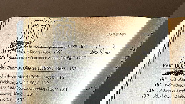 babynympho_archive babynympho_archive archive image