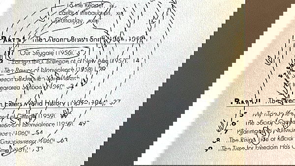 babynympho_archive babynympho_archive archive image