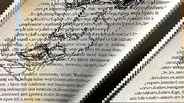 babynympho_archive babynympho_archive archive image