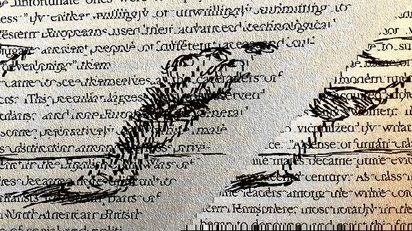 babynympho_archive babynympho_archive archive image