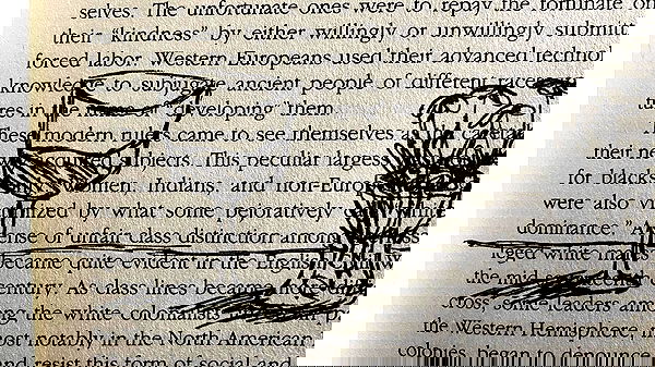 babynympho_archive babynympho_archive archive image