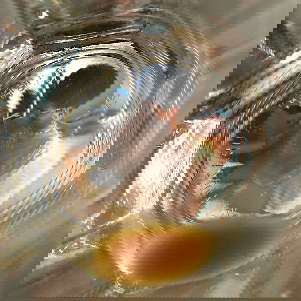 babynympho_archive babynympho_archive archive image