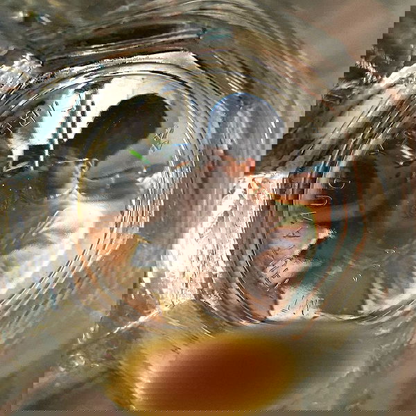 babynympho_archive babynympho_archive archive image