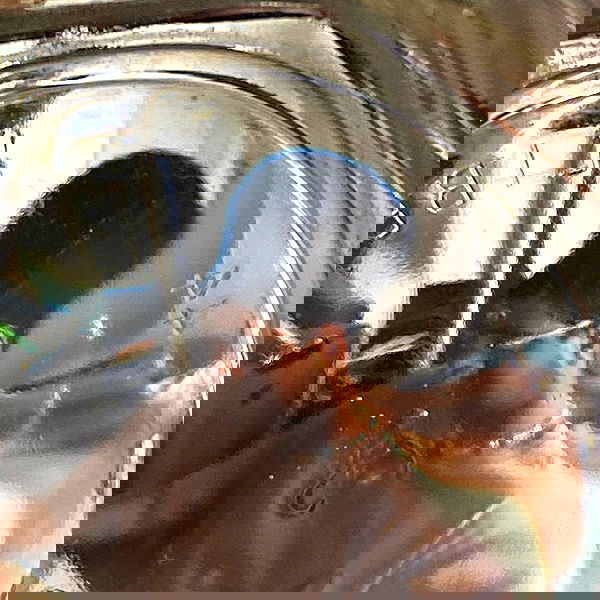 babynympho_archive babynympho_archive archive image