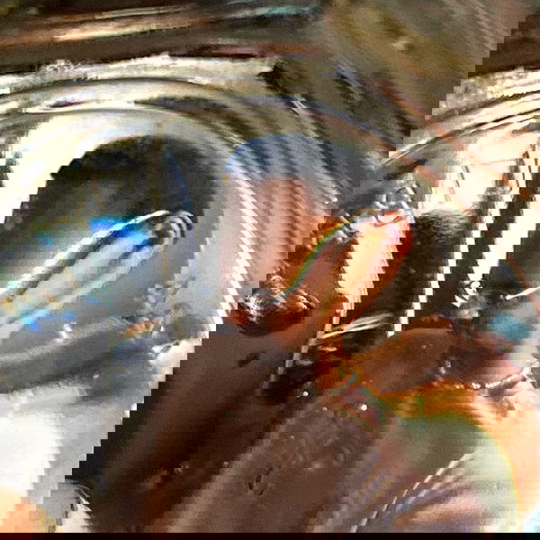 babynympho_archive babynympho_archive archive image