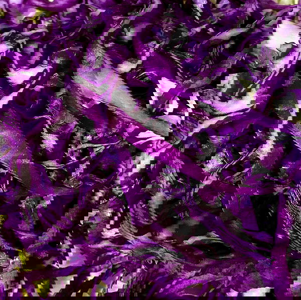 babynympho_archive babynympho_archive archive image