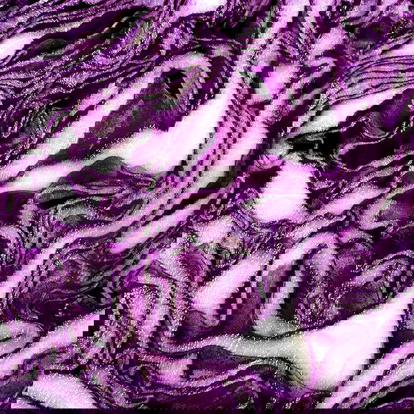 babynympho_archive babynympho_archive archive image