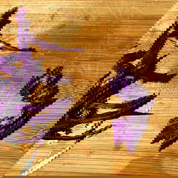 babynympho_archive babynympho_archive archive image