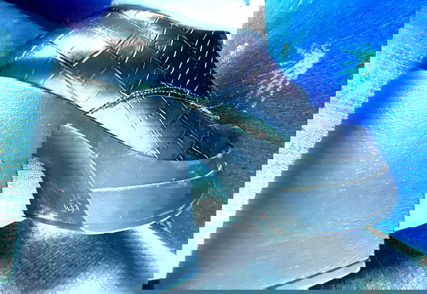 babynympho_archive babynympho_archive archive image